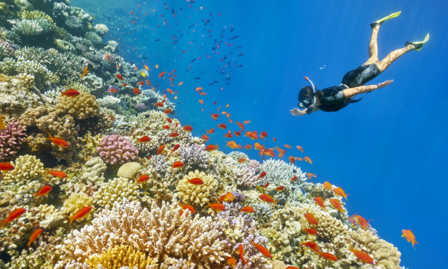 1월 가족 해외여행 추천 best3