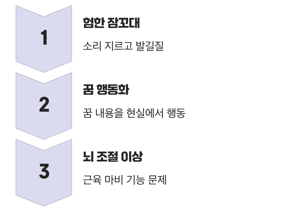 깊은 밤의 이상 행동&amp;#44; &amp;#39;렘수면 행동장애&amp;#39;