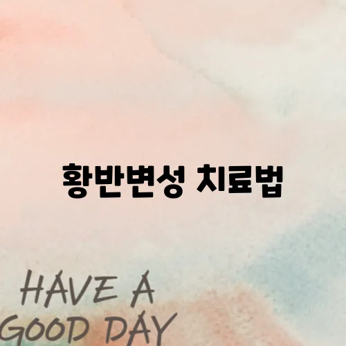 황반변성 치료법