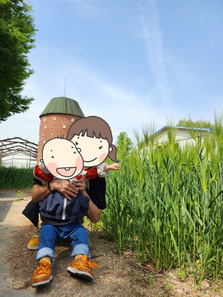 청보리밭 옆의 엄마와 아이