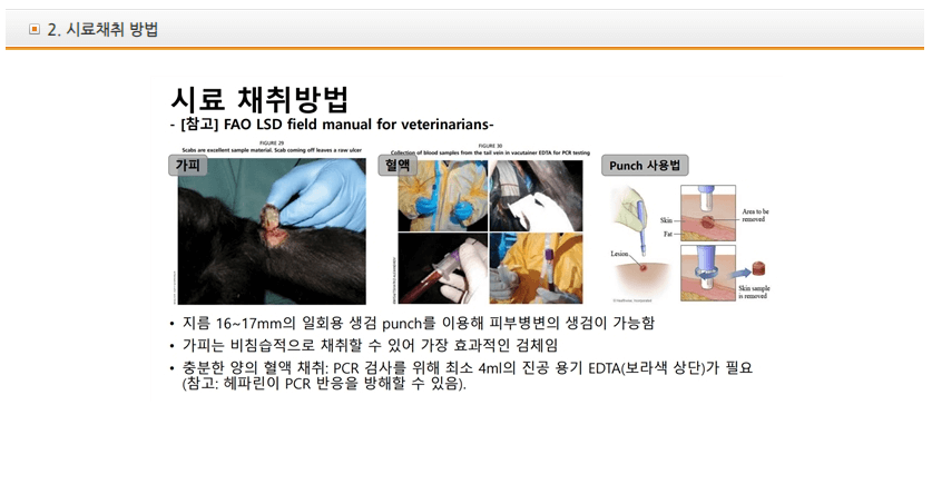 럼피스킨병-시료-채취방법