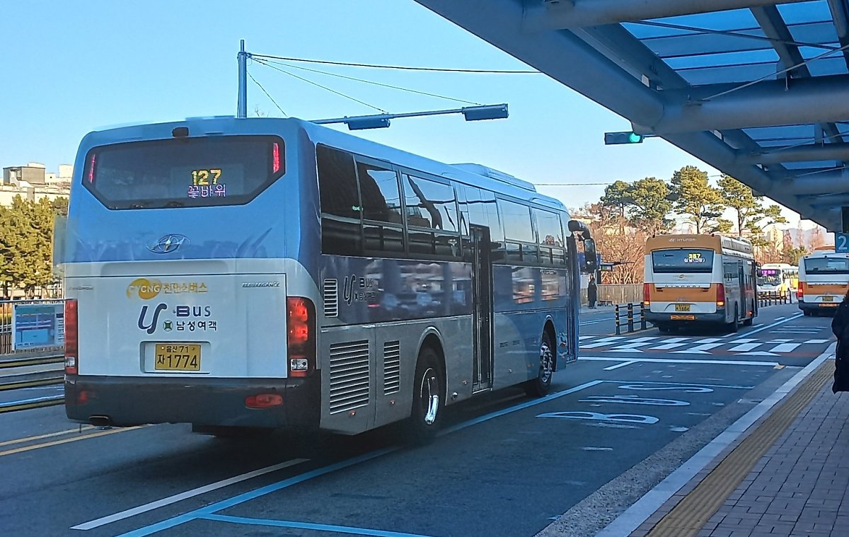 울산 시내버스 개편 14