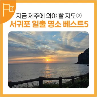 서귀포 가볼만한곳 베스트10 천지연폭포 정방폭포 야시장 산책_8