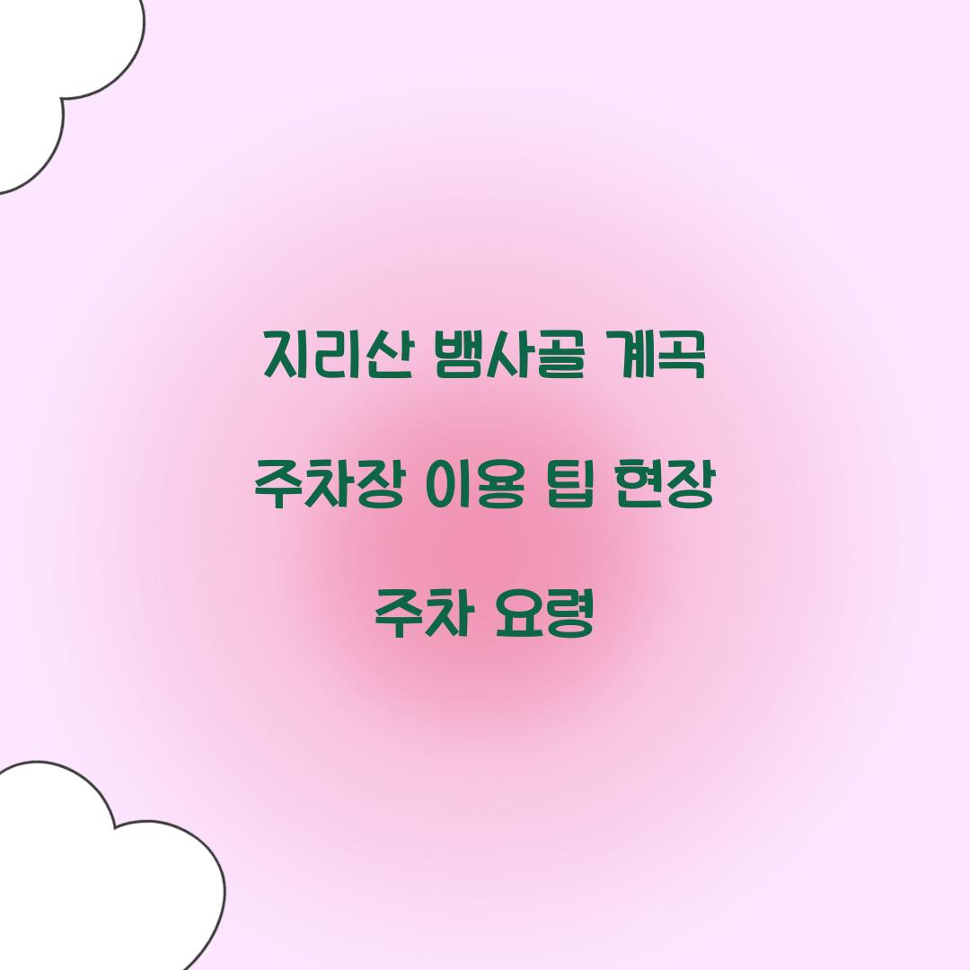 지리산 뱀사골 계곡 주차장