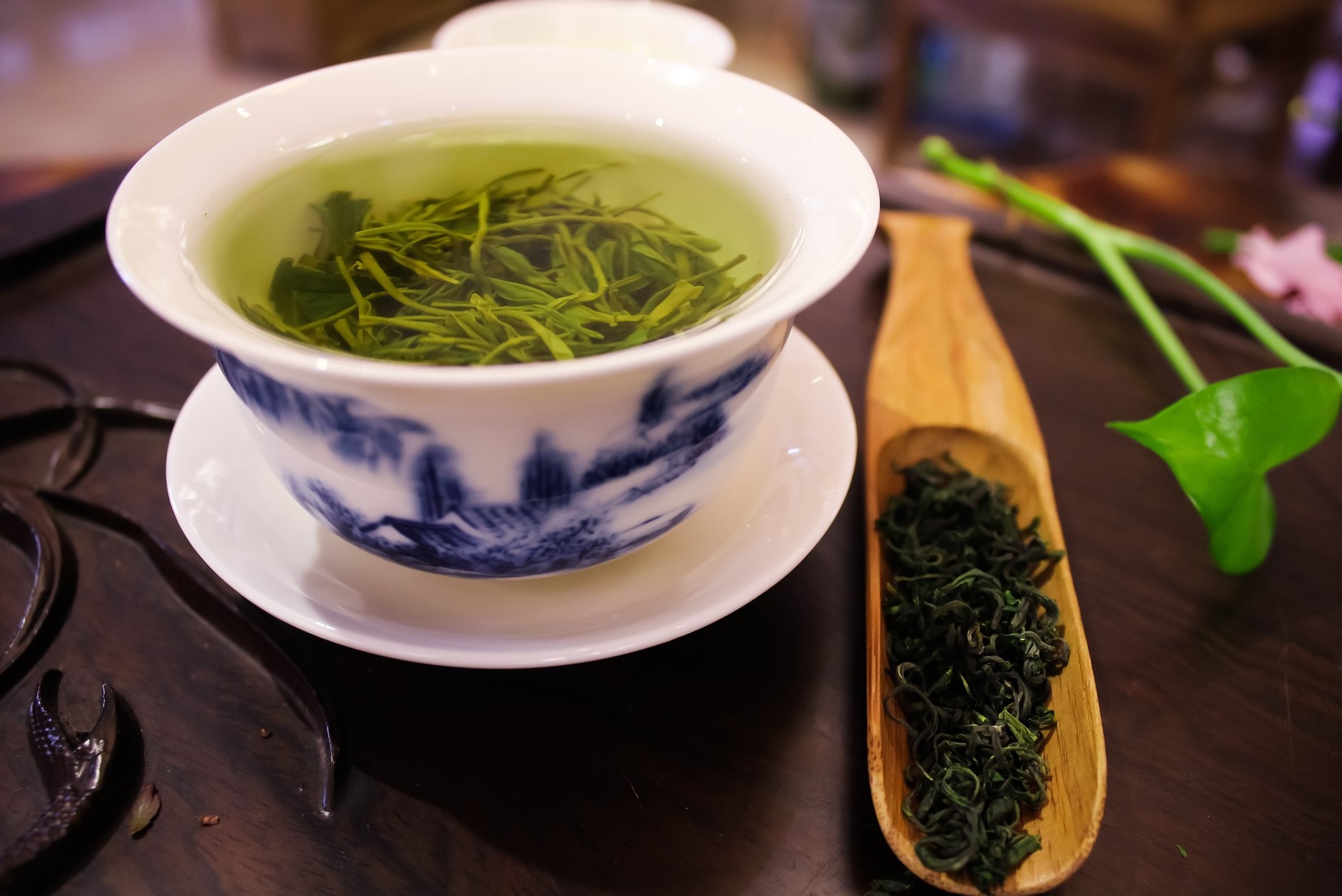 항산화-성분이-풍부한-녹차