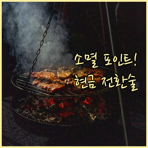 소멸 예정 카드 포인트 확인하고 1포..