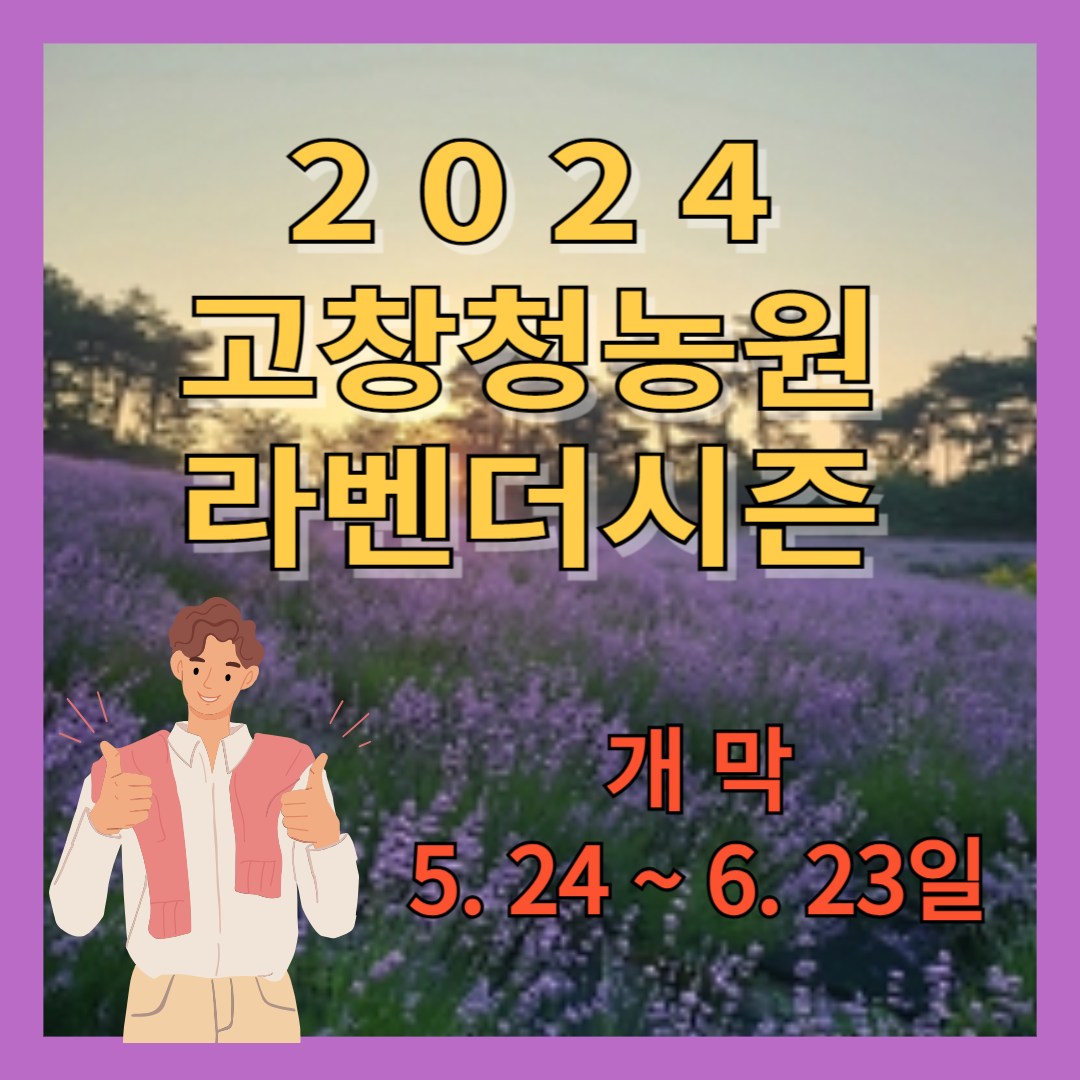 고창청농원_라벤더시즌_축제개막