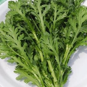 쑥갓의 효능 부작용 고르는법 칼로리 꽃