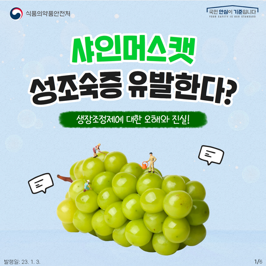 샤인머스캣 성조숙증 유발한다?