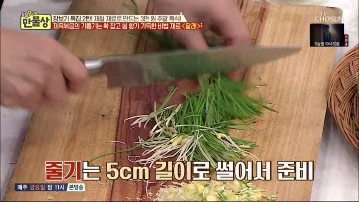 봄나물종류와효능 냉이 달래 쑥 두릅 씀바귀 머위 돌나물