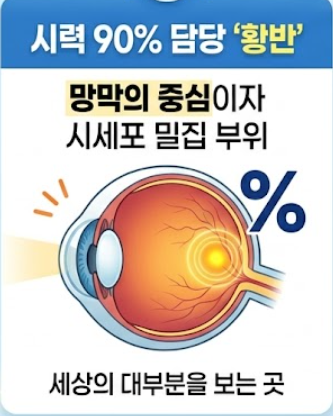 황반변성 치료법