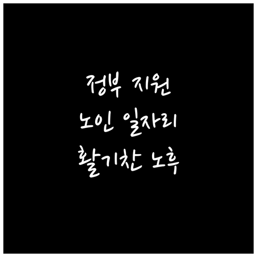 활기찬 노후를 위한 선택: 정부 지원..