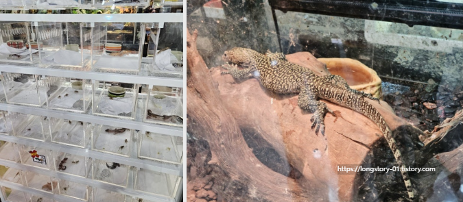 짜뚜짝 주말시장