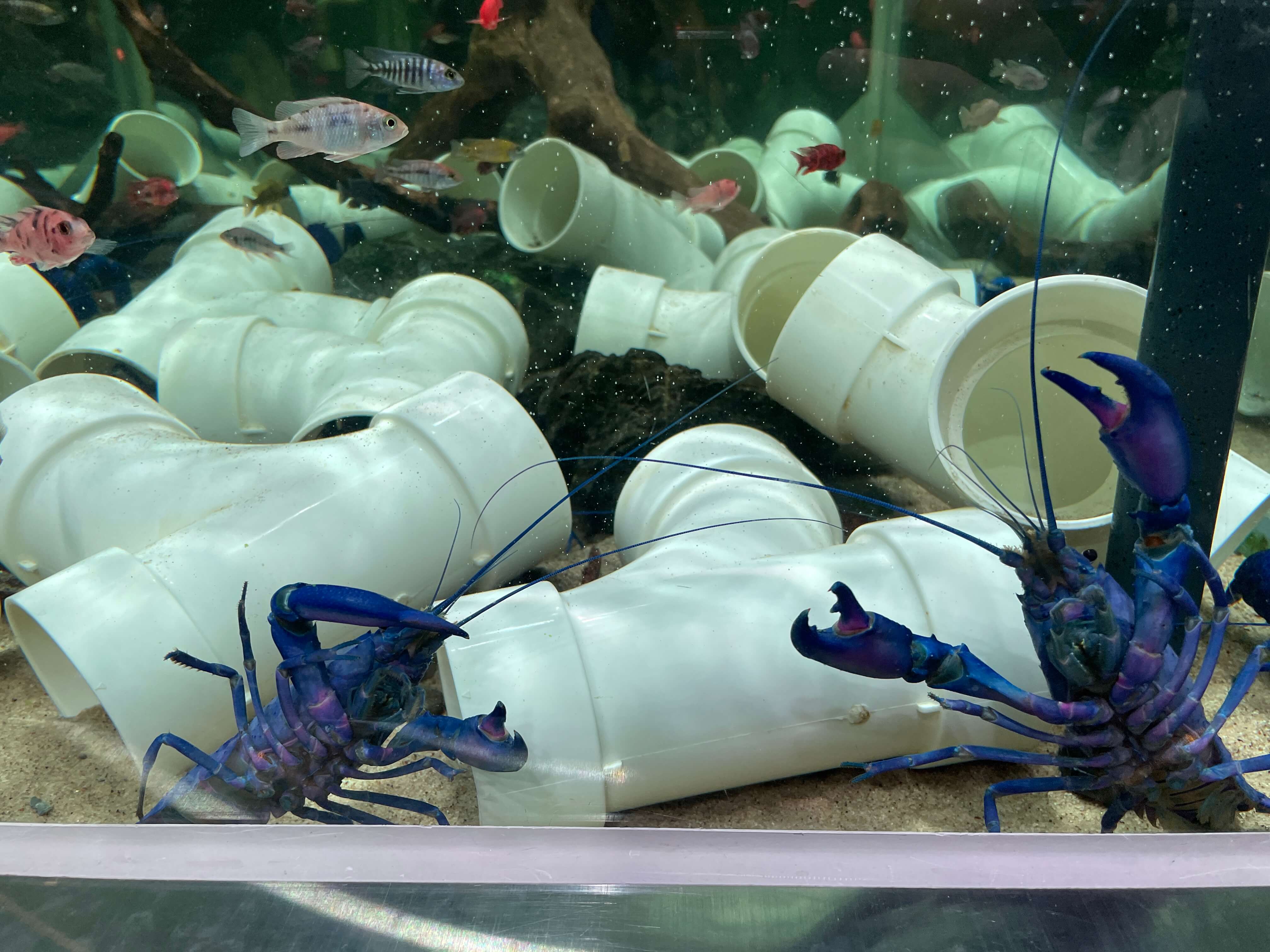 잠심-아쿠아가든