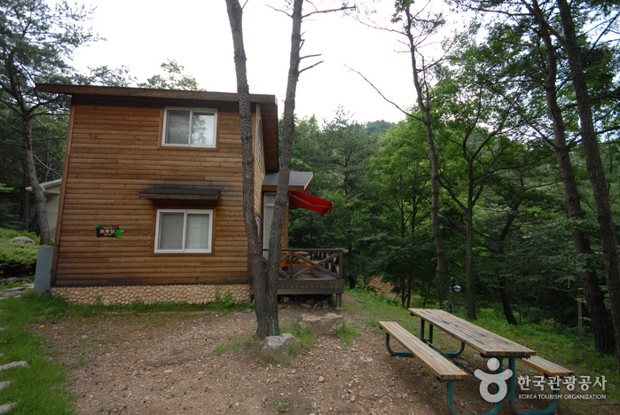 화순 가볼만한곳 베스트10