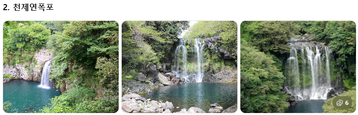 렌터카보다 효율적인 제주 관광택시, 중형·대형 제주택시투어 비교! 1일 코스별 예산 가이드