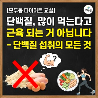 단백질 많은 음식 효능 효과