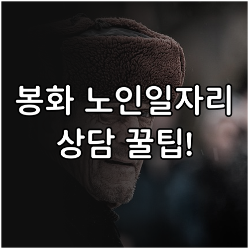 봉화군 시니어클럽 일자리 신청 자격 ..