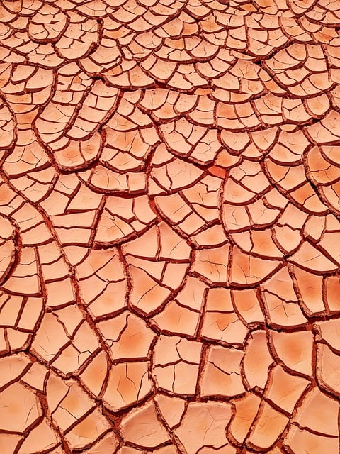 이재명 대통령 강릉 가뭄