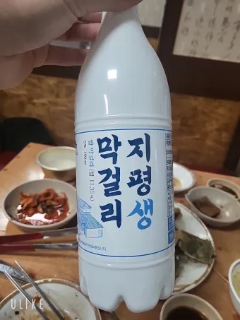 막걸리 종류 도수 브랜드_11