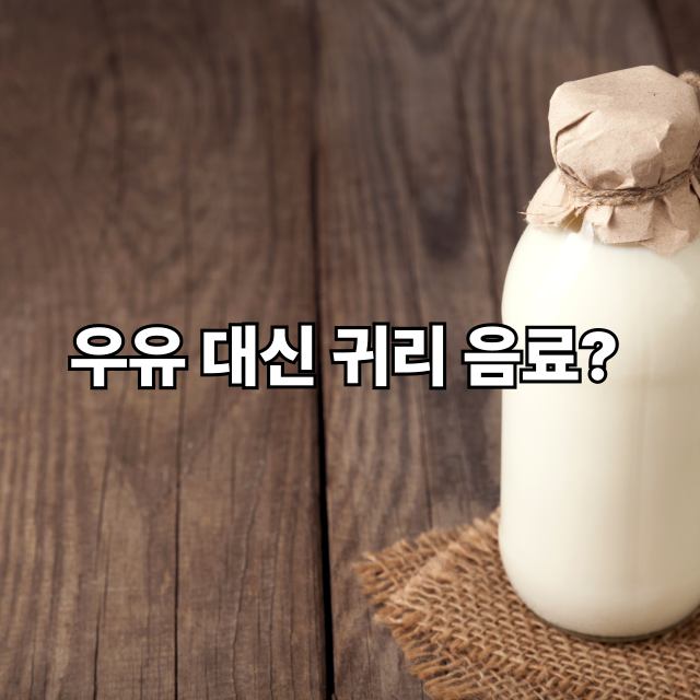 우유 대신 아몬드·귀리 음료? 장점과 단점, 단백질 보충법까지 정리