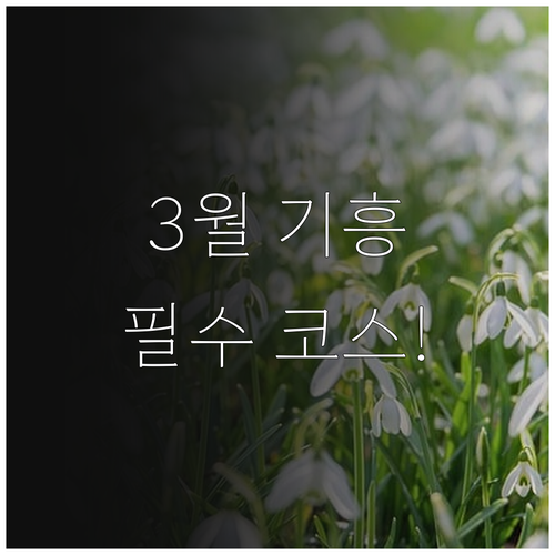 3월 기흥 나들이 추천 한국민속촌 기..