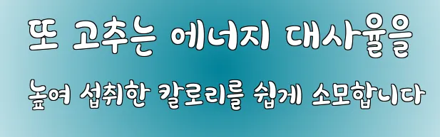  또 고추는 에너지 대사율을 높여 섭취한 칼로리를 쉽게 소모합니다