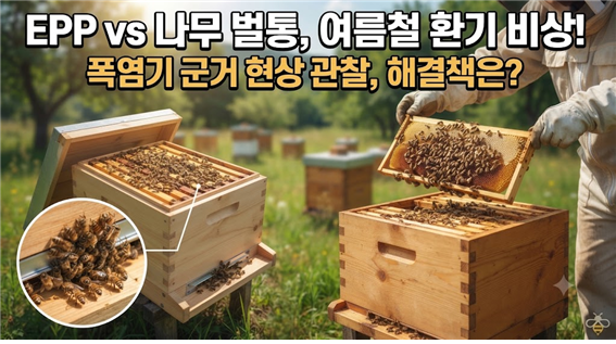 폭염기 환기 상태를 관찰한 장면