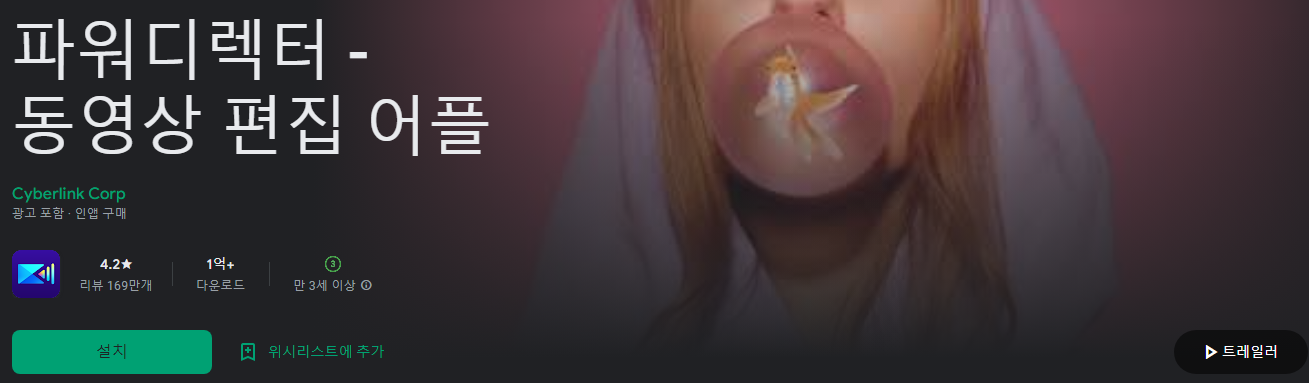 파워디렉터