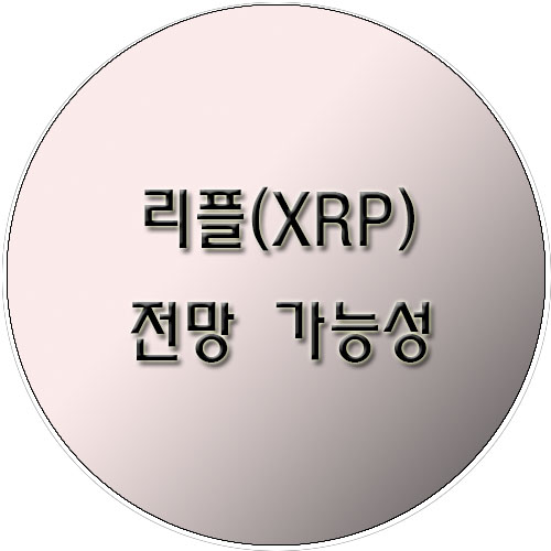 리플-전망-가능성