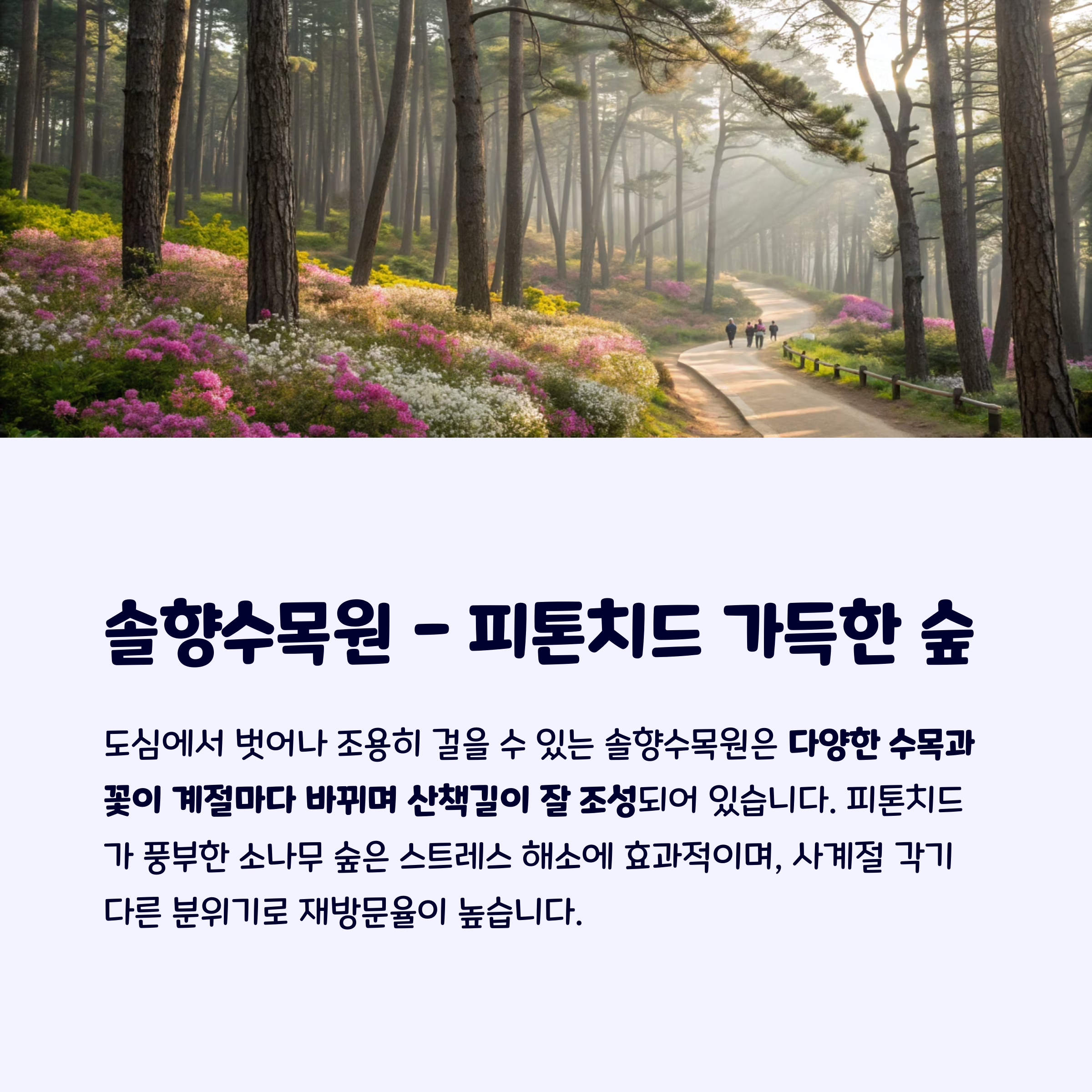 강릉솔향수목원