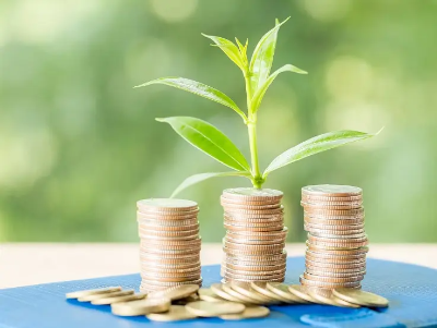 새마을금고 예금금리