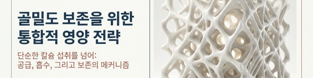 골다공증음식-사진12