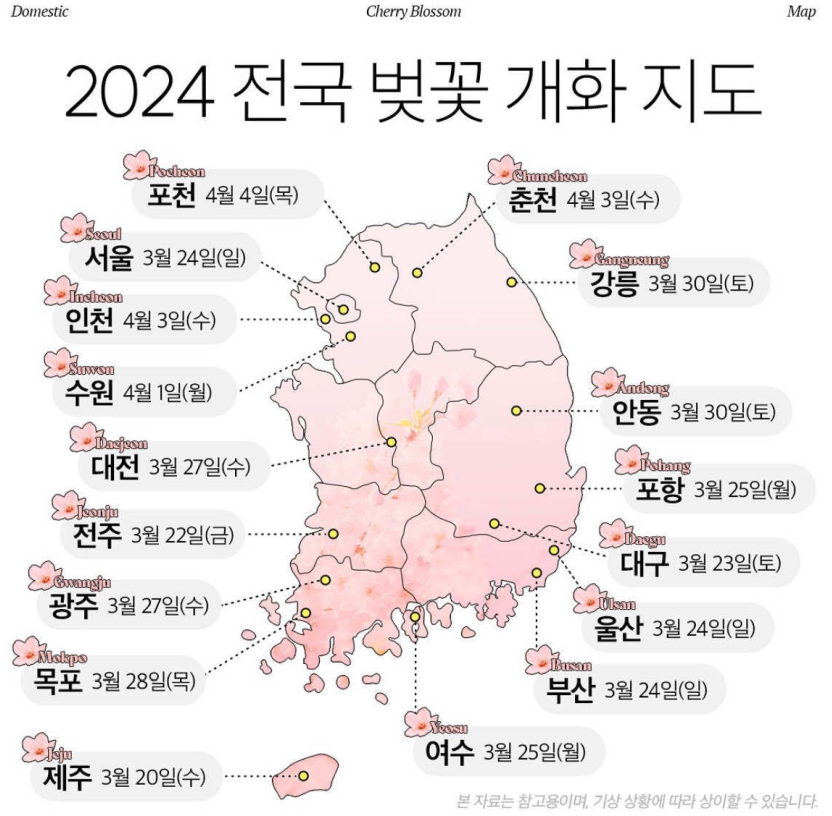 2024 벚꽃 개화시기 및 전국 벚꽃 명소 알아보기
