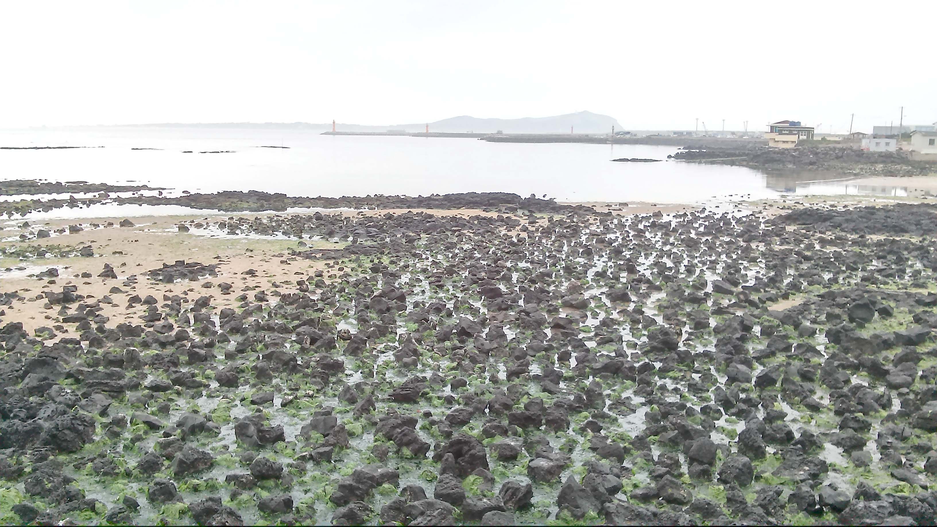 제주 성산리 오조리 종달리