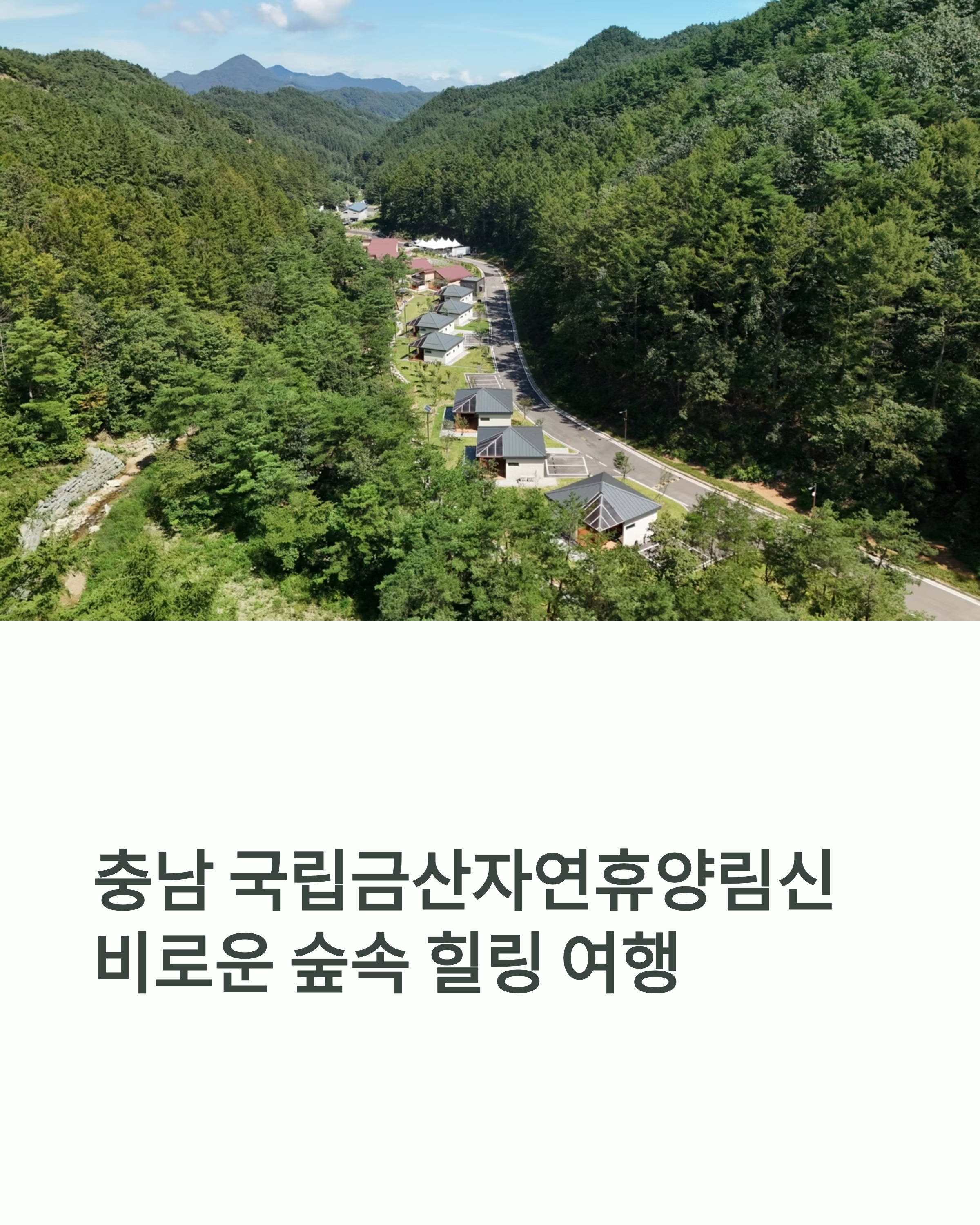 충남 금산 숲속 힐링여행, 신상 국립금산자연휴양림 연립동 숙박기