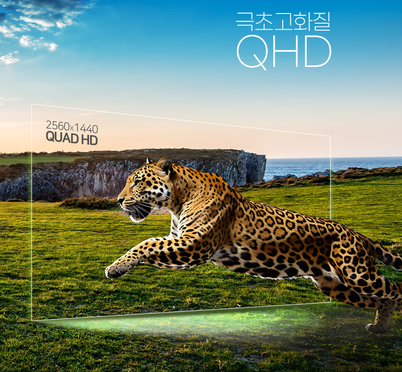 마무리: 후회 없는 선택, 파인뷰 LXQ600! 📝