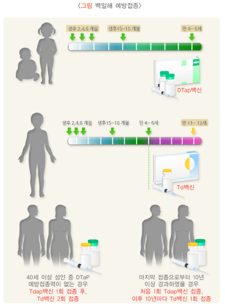 백일해 예방접종