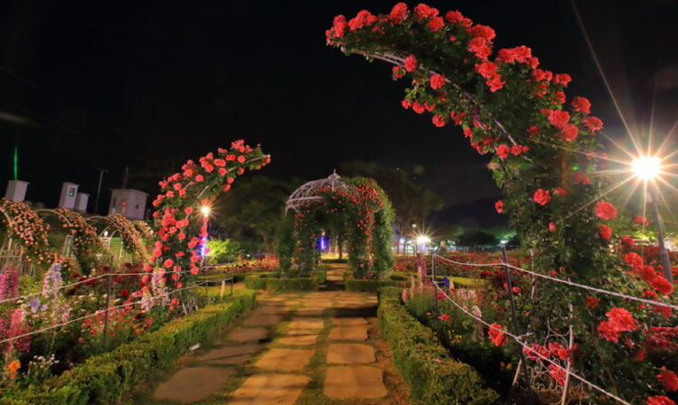 곡성 세계장미축제