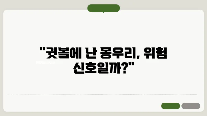 귓볼 몽우리