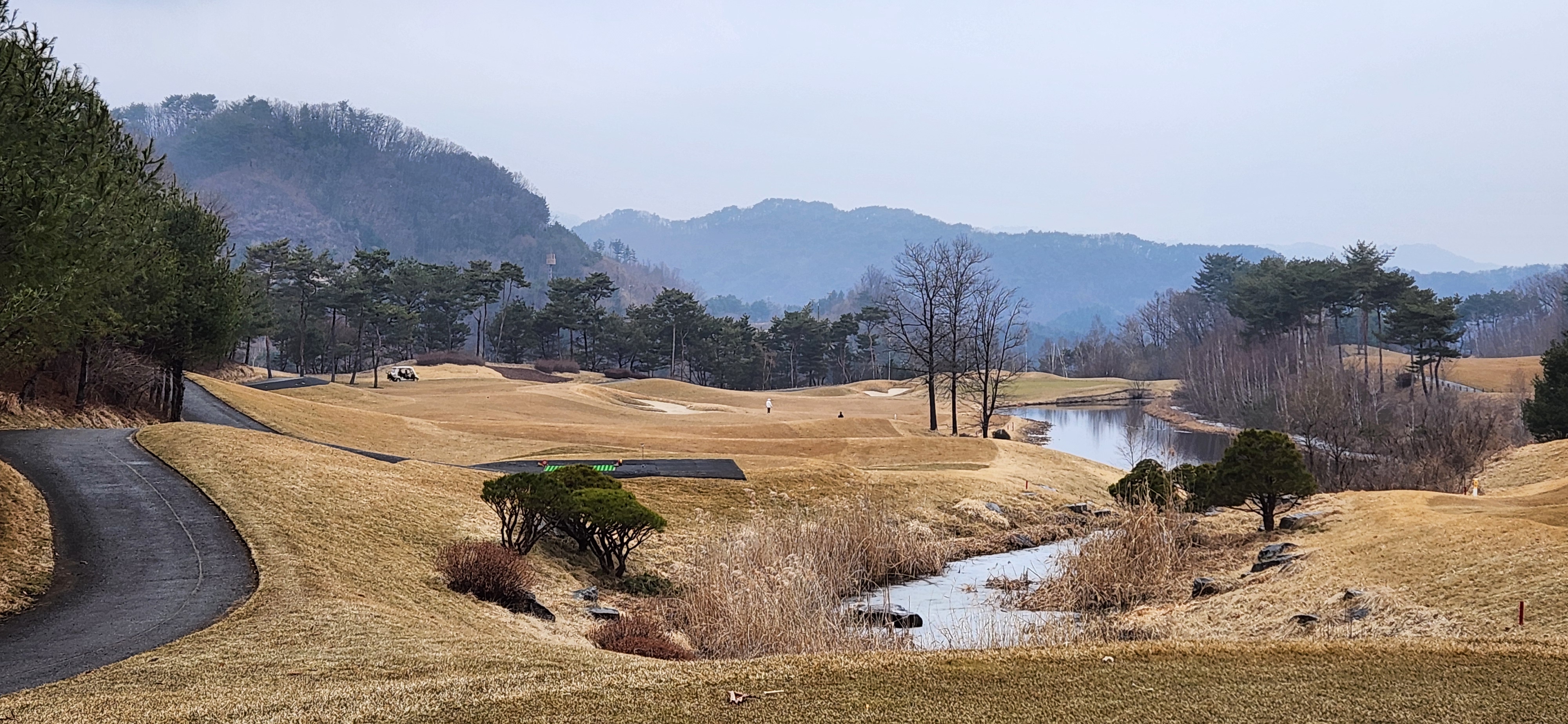 힐드로사이cc