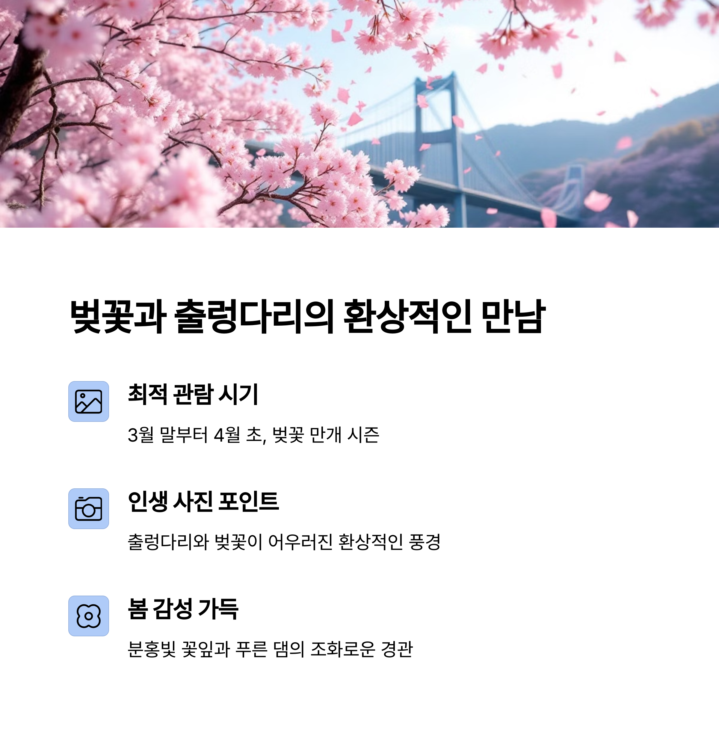 보현산댐 출렁다리 명소