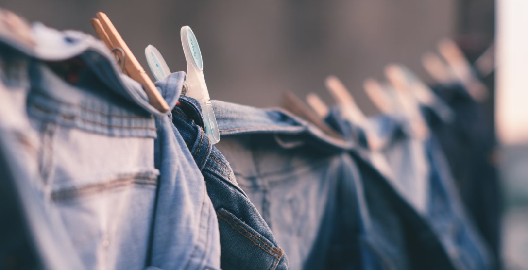 반려인 세탁 꿀팁 관련 사진