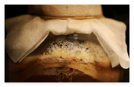 소화 효소 소화 기능