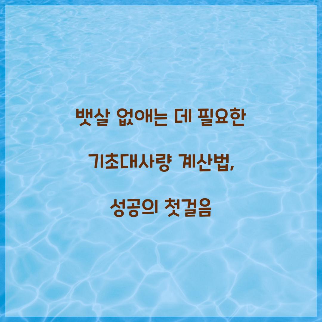 뱃살 없애는 데 필요한 기초대사량 계산법