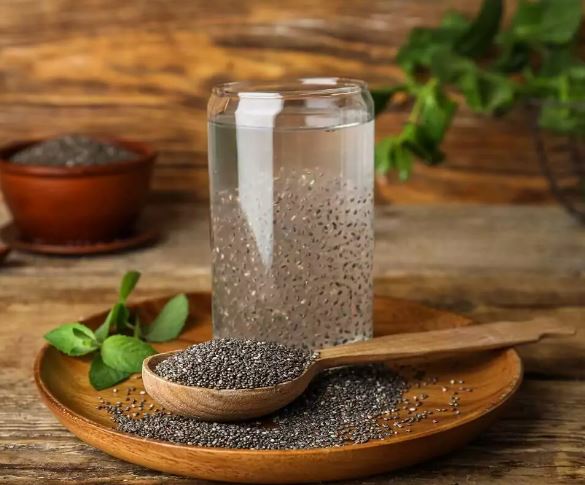 치아씨드-올챙이-물