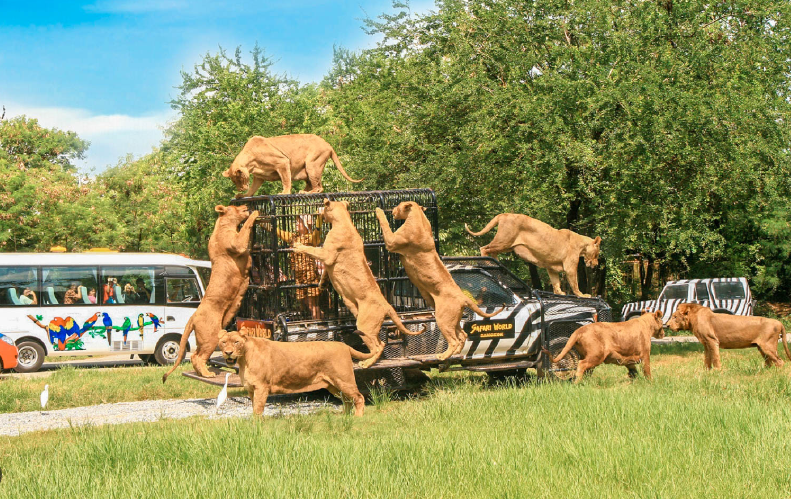 방콕 사파리월드