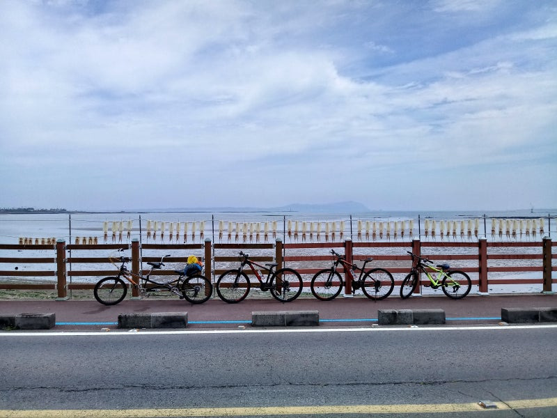 해안가 도로에 세워져 있는 여러대의 자전거
