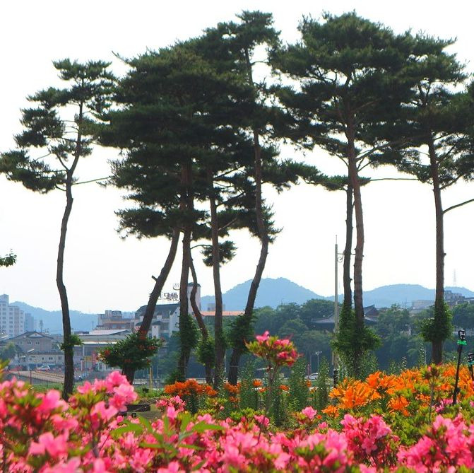 영천강변공원