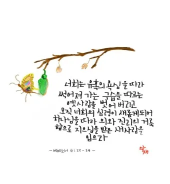 에베소서 2장 8절 성경말씀 - 너희는 은혜로 인하여 믿음으로 말미암아 구원을 받았나니_26